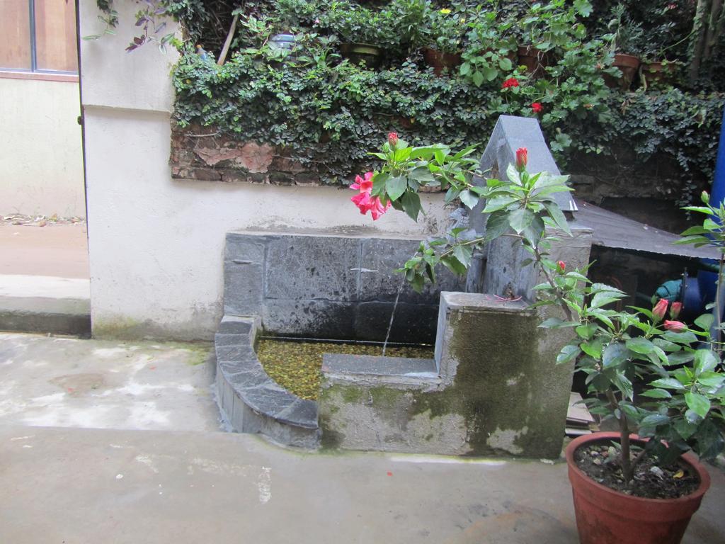 Hotel Peace N Park Kathmandu Exterior foto